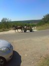 Небольшой фотоотчет о поездке в Болгарию